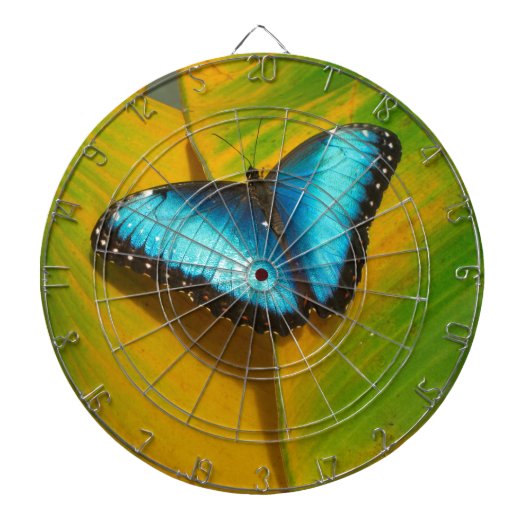 Schöne, iridescent Butterfly Dartscheibe (vorne)