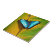 Schöne, iridescent Butterfly Fliese (Seite)
