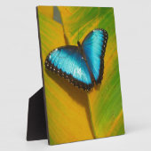 Schöne, iridescent Butterfly Fotoplatte (Seite)