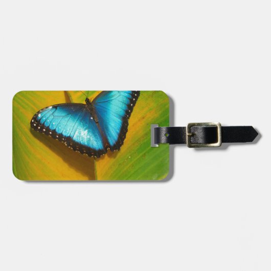 Schöne, iridescent Butterfly Gepäckanhänger (Vorderseite horizontal)