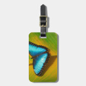 Schöne, iridescent Butterfly Gepäckanhänger (Vorderseite vertikal)