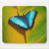 Schöne, iridescent Butterfly Mousepad (Vorne)