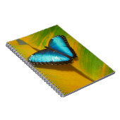 Schöne, iridescent Butterfly Notizblock (Rechte Seite)