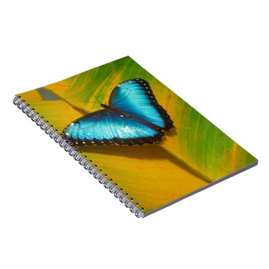Schöne, iridescent Butterfly Notizblock (Rechte Seite)