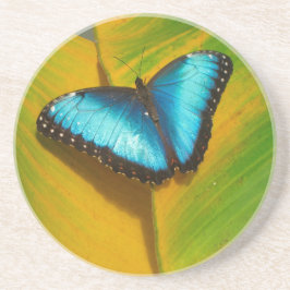 Schöne, iridescent Butterfly Sandstein Untersetzer