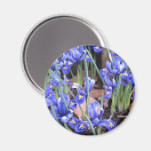 SCHÖNE IRIEN MAGNET (Vorderseite/Rückseite)