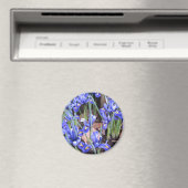 SCHÖNE IRIEN MAGNET (In Situ (Geschirrspüler))
