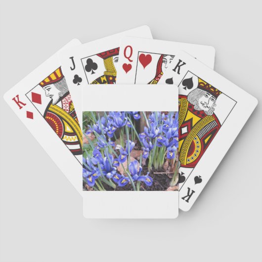 SCHÖNE IRIEN SPIELKARTEN (Rückseite)