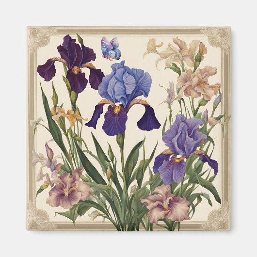 Schöne Iris Blume Blooms Magnet (Vorne)