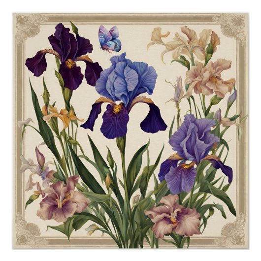 Schöne Iris Blume Blooms Poster (Vorderseite)