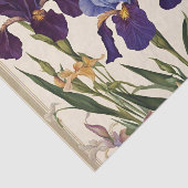 Schöne Iris Blume Blooms Seidenpapier (Ausschnitt)