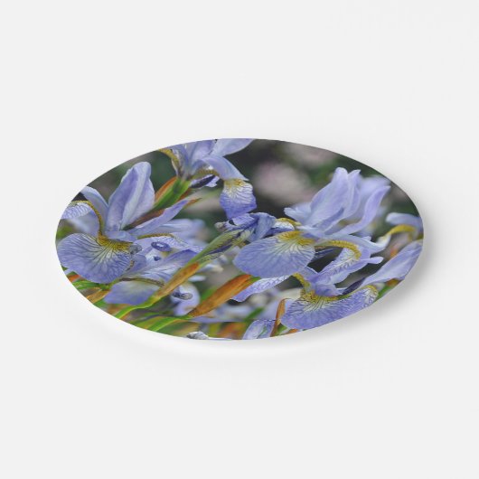 Schöne Iris-Blume Pappteller (Schrägansicht)