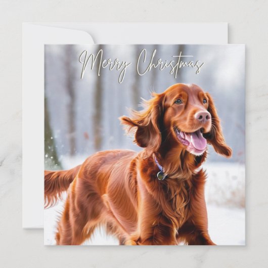 Schöne Irish Red Setter Dog Breed Weihnachten (Vorderseite)
