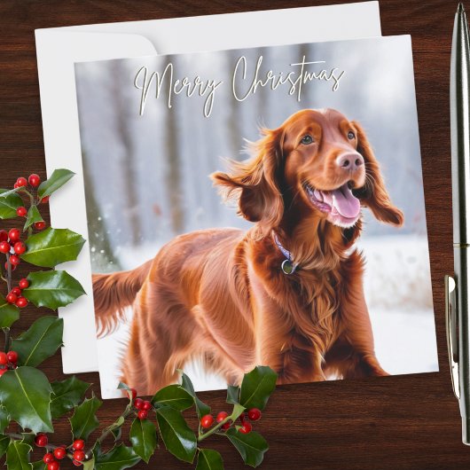 Schöne Irish Red Setter Dog Breed Weihnachten