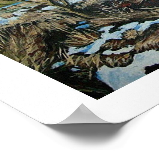 Schöne Island Schneelandschaft Schöne Kunst Poster (Ecke)