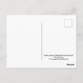 Schöne isländische Schneefälle Landschaft Schöne K Postkarte (Rückseite)