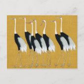 Schöne japanische Kraniche von Ogata Korin Postkarte (Vorderseite)