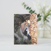 Schöne Jay auf Peanuts DIY Postkarte (Stehend Vorderseite)