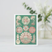 Schöne Jellyfish Postkarte (Stehend Vorderseite)