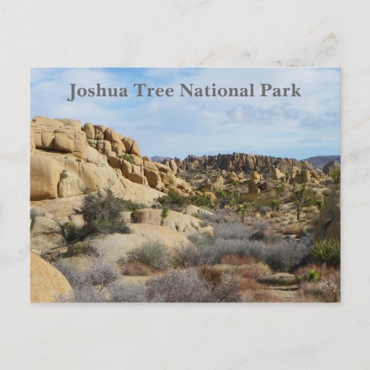 Schöne Joshua Tree Postcard! Postkarte (Vorderseite)