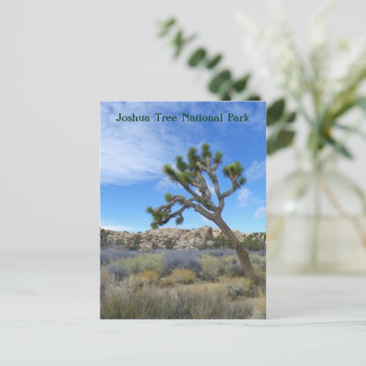 Schöne Joshua Tree Postcard! Postkarte (Stehend Vorderseite)