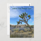 Schöne Joshua Tree Postcard! Postkarte (Vorne/Hinten)