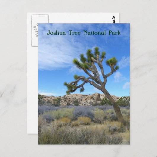 Schöne Joshua Tree Postcard! Postkarte (Vorne/Hinten)
