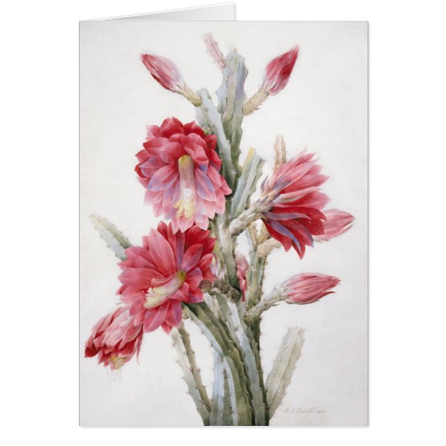 Schöne Kaktus-Blüten-Aquarell-Kunst (Vorne)