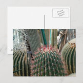 Schöne Kaktus Postkarte (Vorne/Hinten)