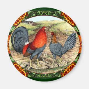 Schöne Kampfhühner Magnet