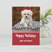 Schöne Karte mit maltesischen Welpen (Stehend Vorderseite)