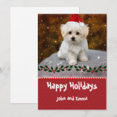 Schöne Karte mit maltesischen Welpen (Vorne/Hinten)