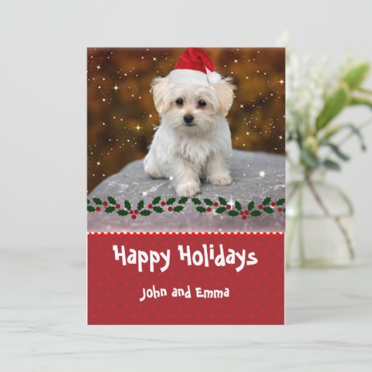 Schöne Karte mit maltesischen Welpen (Stehend Vorderseite)