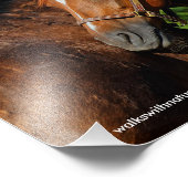 Schöne Kastanienpferde in der Sommersonne Fotodruck (Ecke)