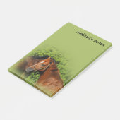 Schöne Kastanienpferde in der Sommersonne Post-it Klebezettel (angewinkelt)