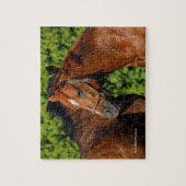 Schöne Kastanienpferde in der Sommersonne Puzzle (Vertikal)