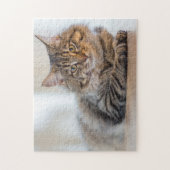 Schöne Katze beim Stürzen auf einem Puzzle (Vertikal)