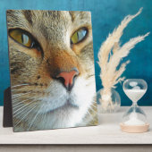 Schöne Katze Fotoplatte (Seite)