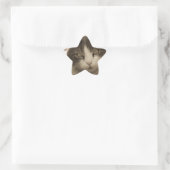 Schöne Katze im Sepia-Stil Stern-Aufkleber (Tasche)