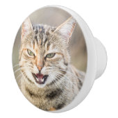 Schöne Katze Keramikknauf (Rechts)