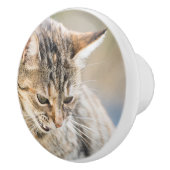 Schöne Katze Keramikknauf (Rechts)