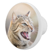 Schöne Katze Keramikknauf (Rechts)