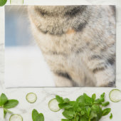 Schöne Katze Küchentuch (Gefaltet)