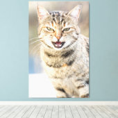 Schöne Katze Leinwanddruck (Insitu (Holzboden))