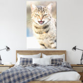 Schöne Katze Leinwanddruck (Insitu (Schlafzimmer))