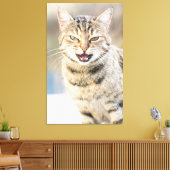 Schöne Katze Leinwanddruck (Insitu (Wohnzimmer))