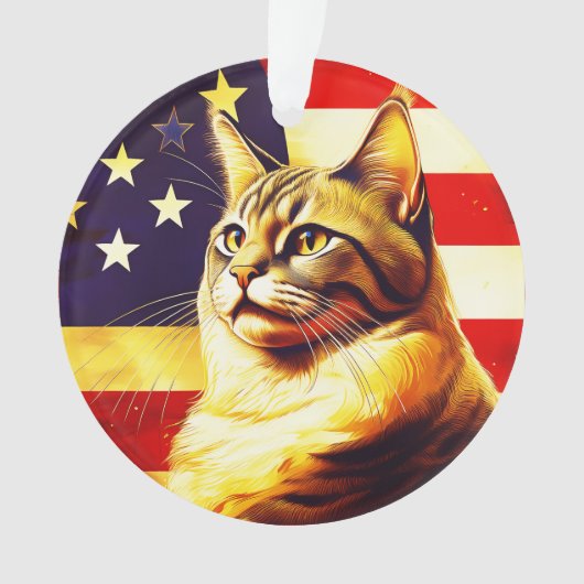 Schöne Katze mit amerikanischem Flaggenhintergrund Ornament (Vorderseite)