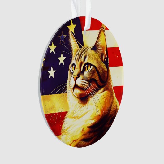 Schöne Katze mit amerikanischem Flaggenhintergrund Ornament (Vorderseite)