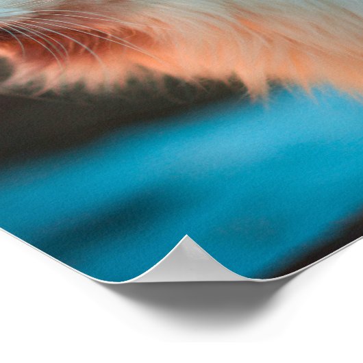 Schöne Katze mit einem Schmetterling auf der Nase Poster (Ecke)