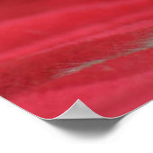 Schöne Katze mit rotem Hintergrund zum Entspannen Poster (Ecke)